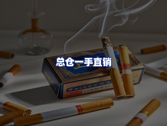 专业团队